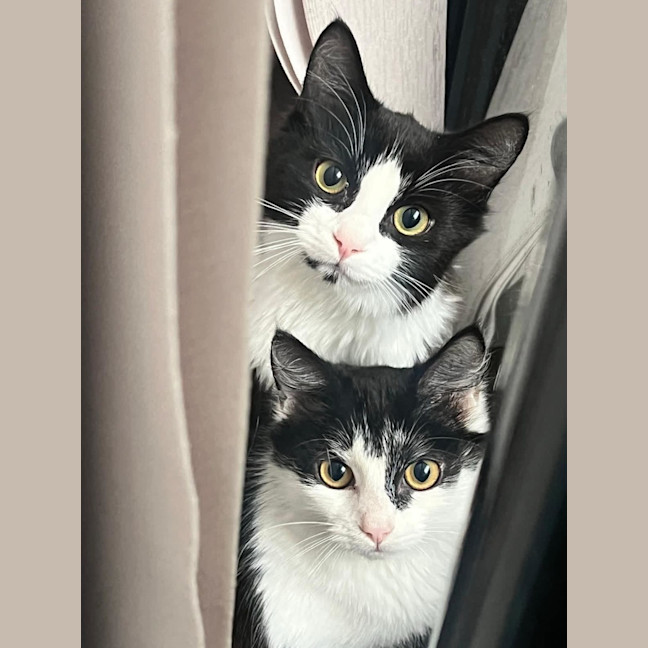 Photo of Scotty & Rosie