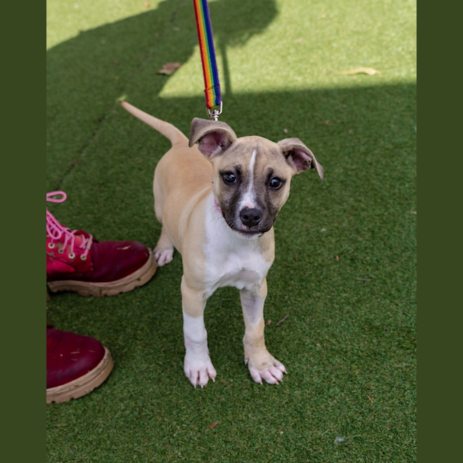 Photo of Lottie Bell