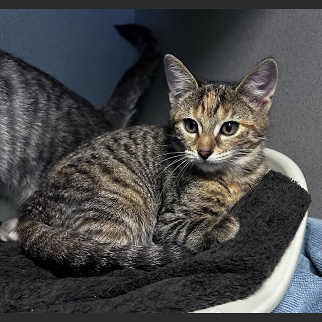 Photo of Olivia