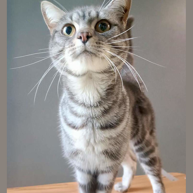 Photo of Cinder