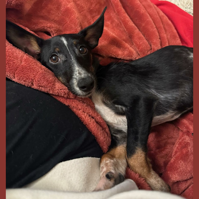 Photo of Tammy