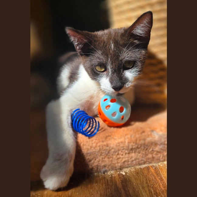 Photo of Bruce