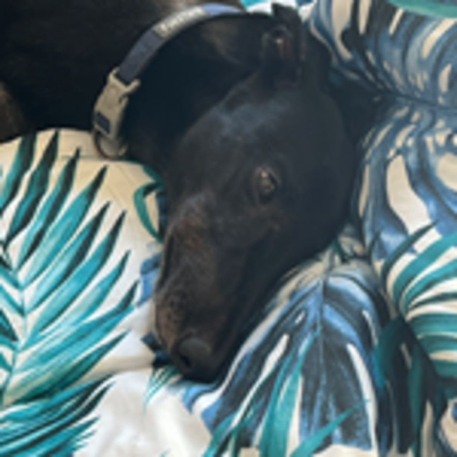 Photo of Gary