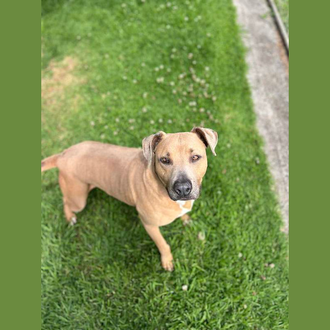 Photo of Lucy