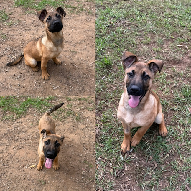 Photo of Yogi