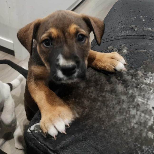 Photo of Marceline The Vampire Queen