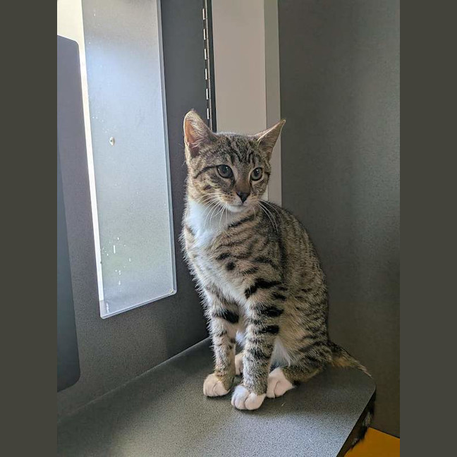 Photo of Luka