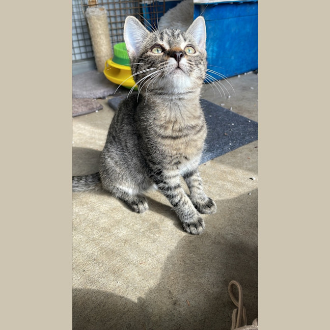 Photo of Max