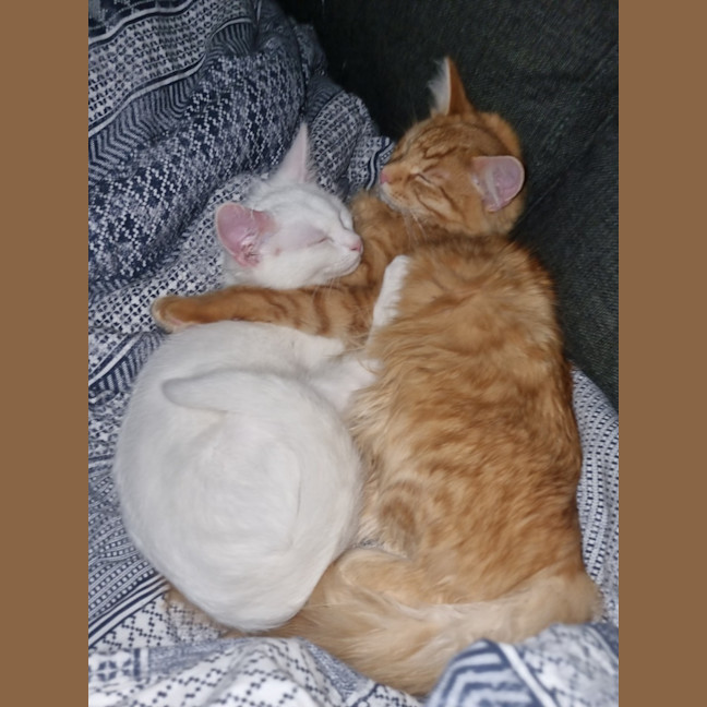 Photo of Finnick