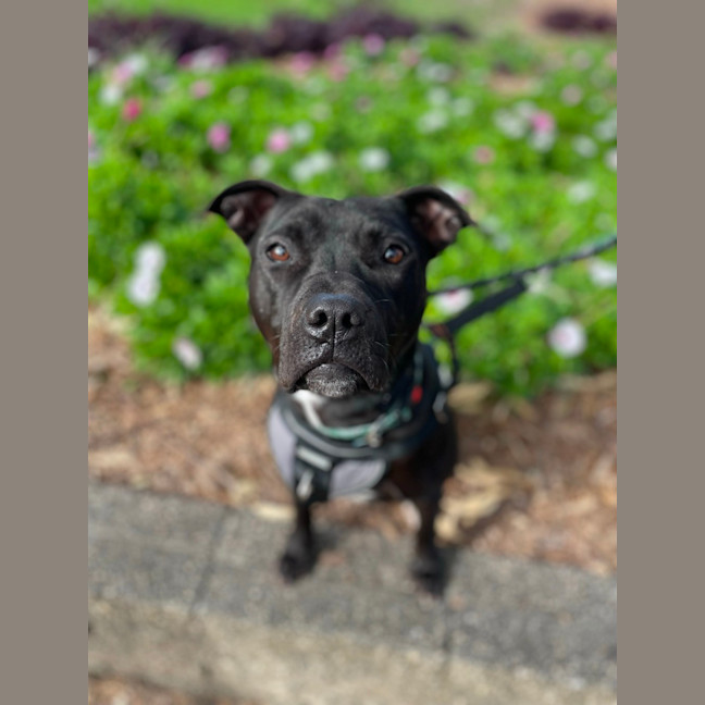 Photo of Tequila