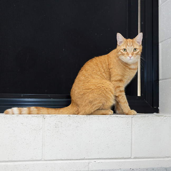 Photo of Archie Boi (Previously Archie)