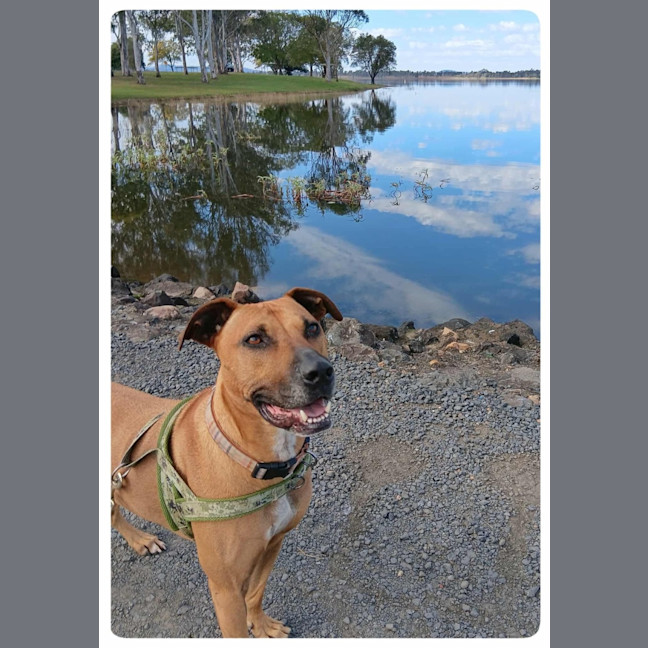 Photo of Bear 
