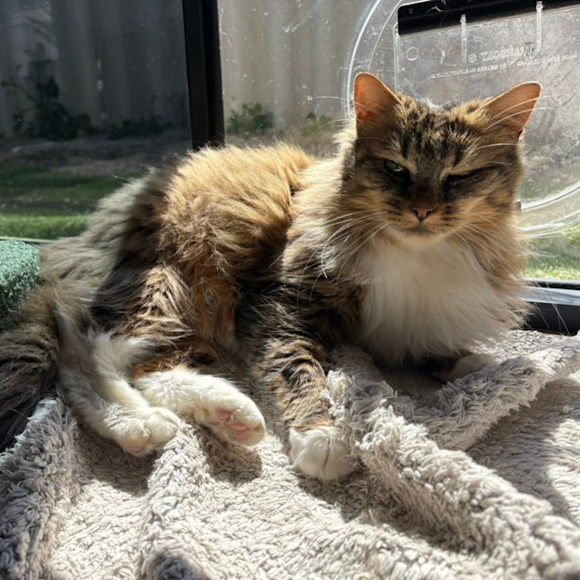Photo of Daisy
