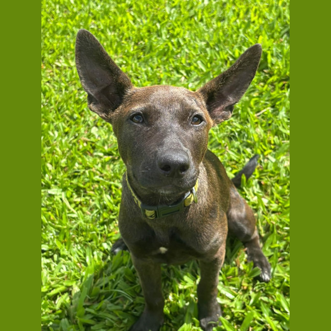 Photo of Lil Olive