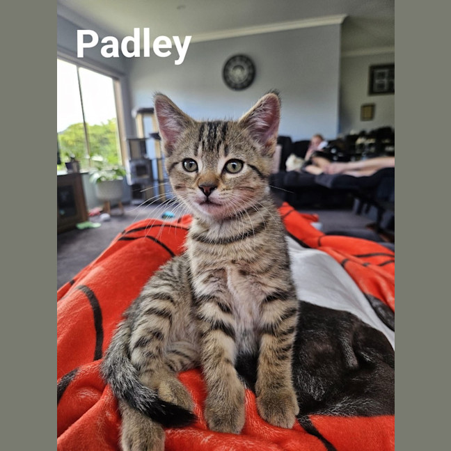Photo of Padley