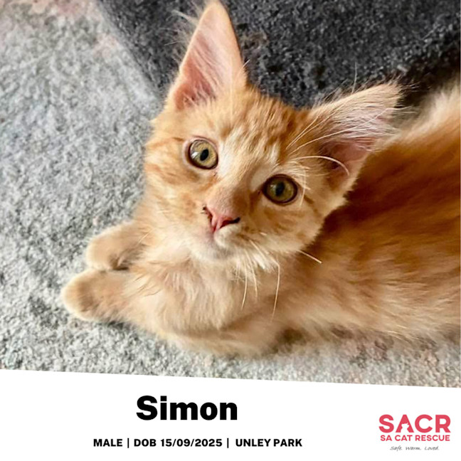 Photo of Simon