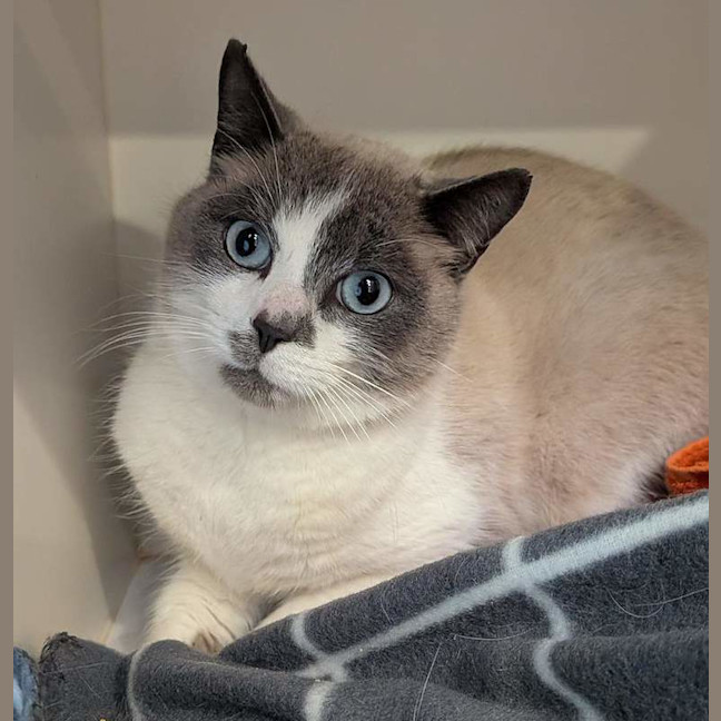 Photo of Wizard