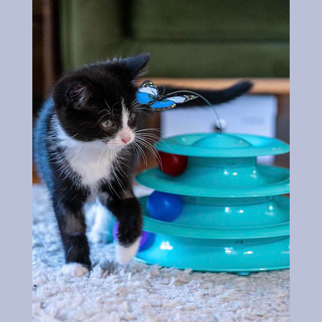 Photo of Timmy