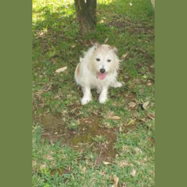 Photo of Archie