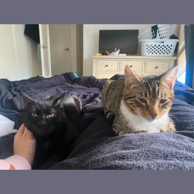 Photo of Jinx (With Bruni)