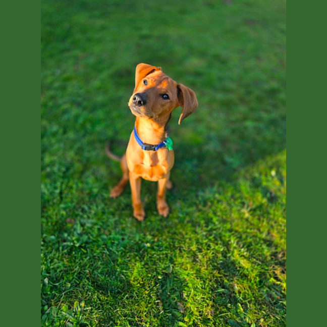 Photo of Jazzy