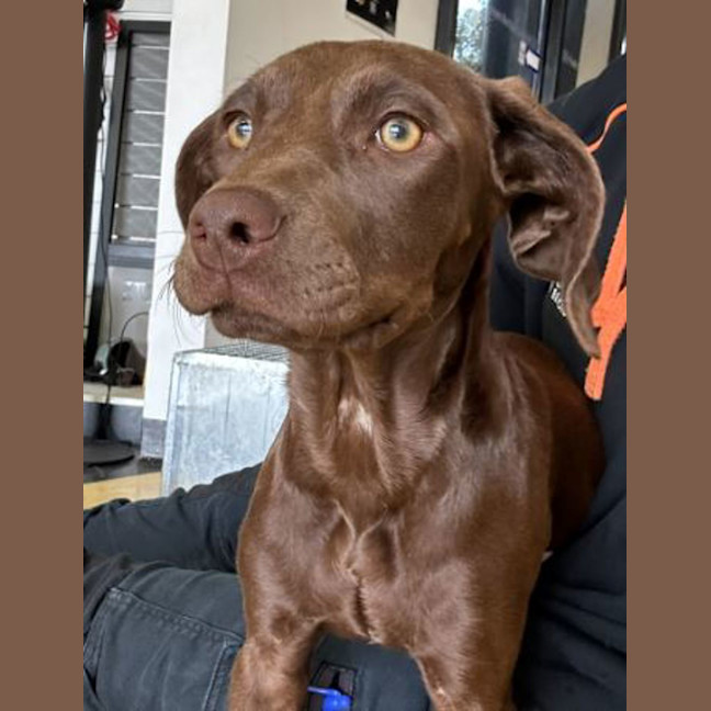 Photo of Polly Waffle