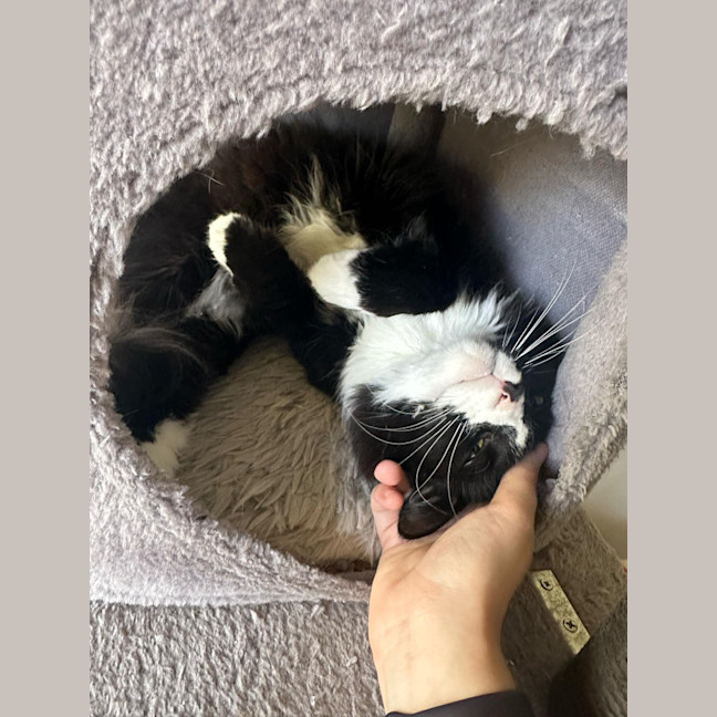Photo of Maggie