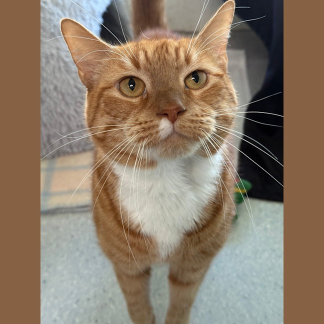 Photo of Charlie