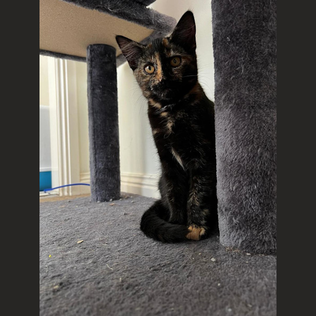 Photo of Hazel