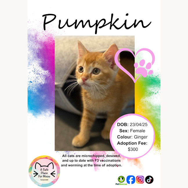 Photo of Pumpkin