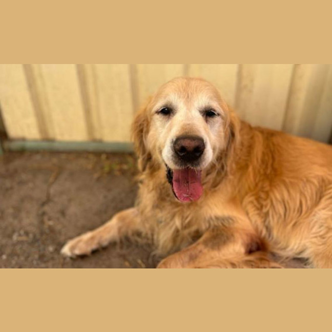 Photo of Benny