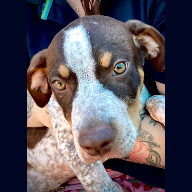 Photo of Vinnie