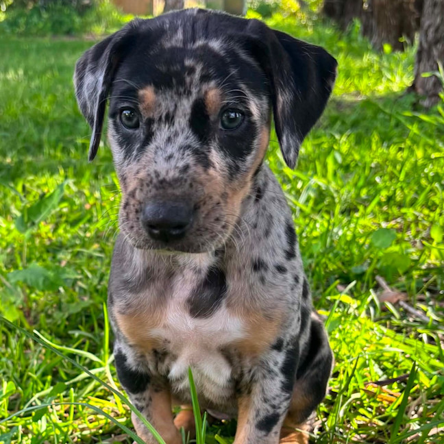 Photo of Kaiya