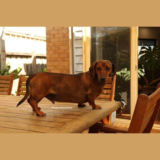 Photo of Frankie Silvanus