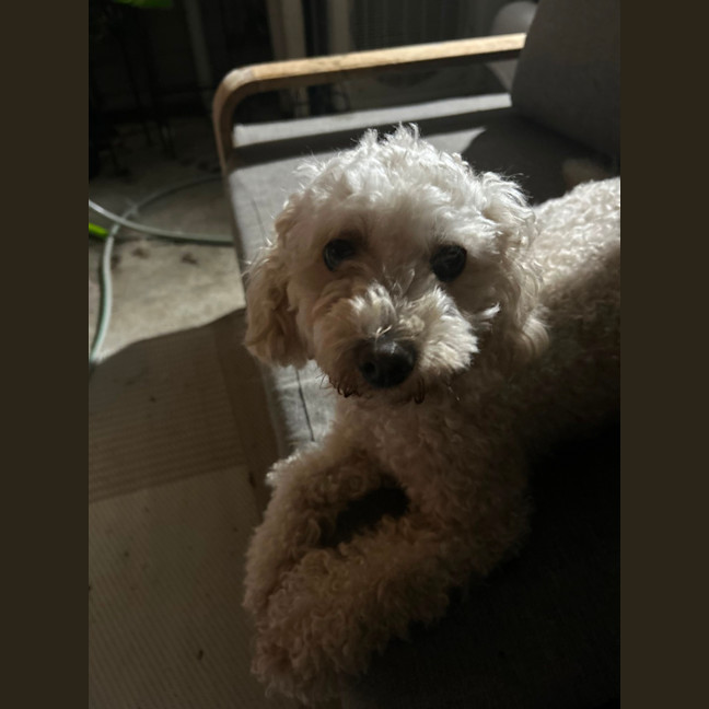 Photo of Mimi