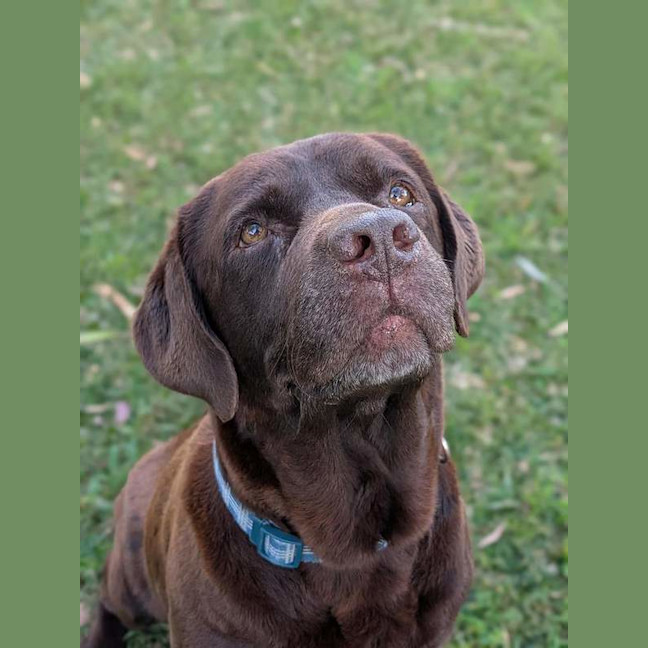 Photo of Coco