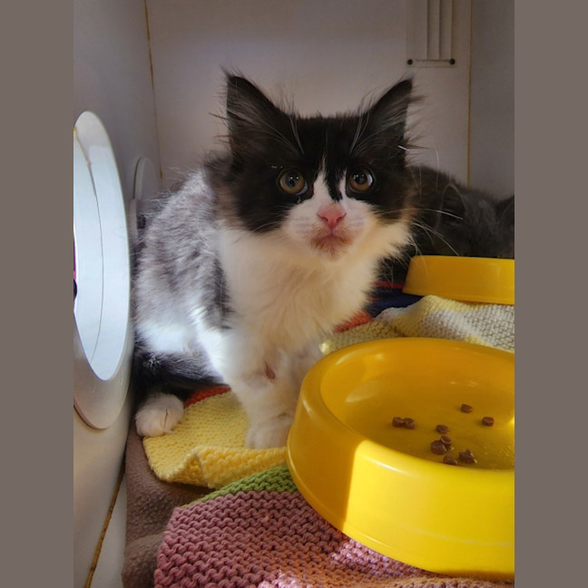 Photo of Elsie & Tommy