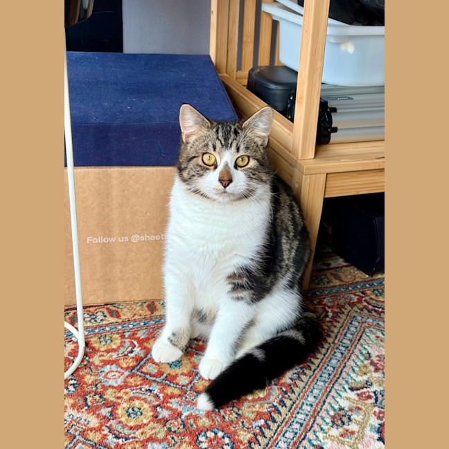 Photo of Bertie 