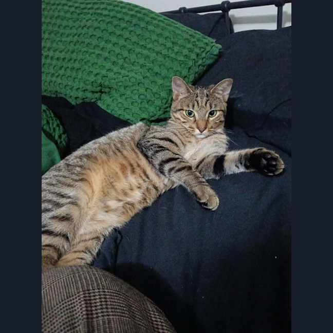 Photo of Lydia 