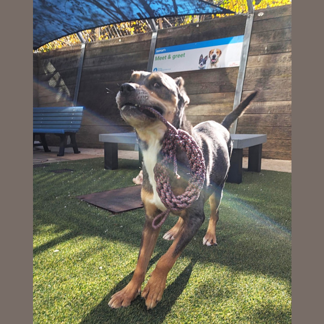 Photo of Storm