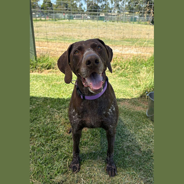 Photo of Milo