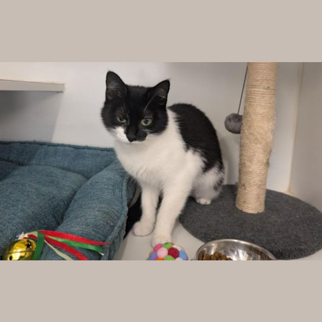 Photo of Sprout