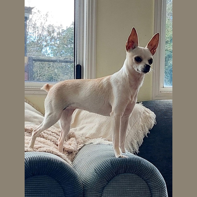 Photo of Edith