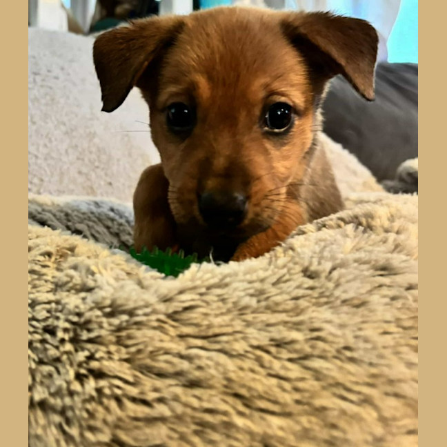 Photo of Winny (P21)