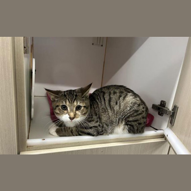 Photo of Spud