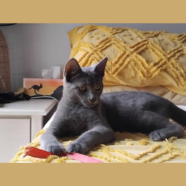 Photo of Frodo