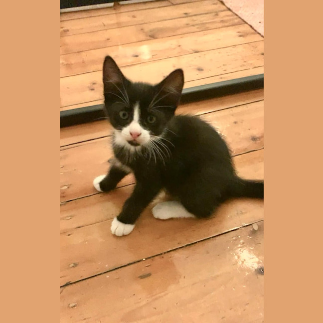 Photo of Ralphie
