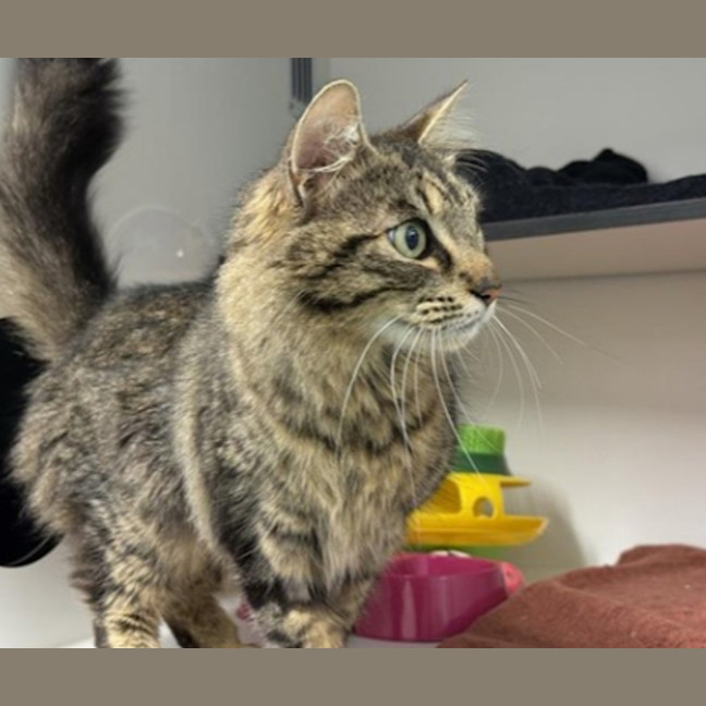 Photo of Persephone