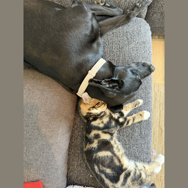 Photo of Tyrone & Miranda