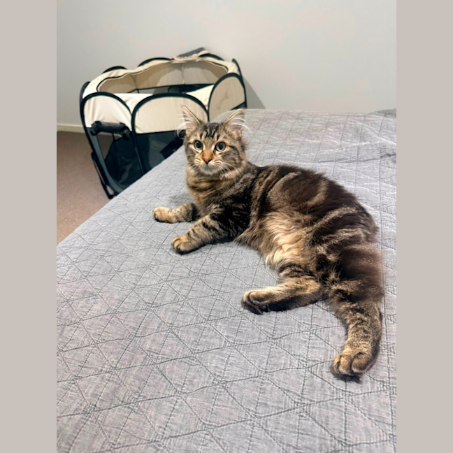 Photo of Goob